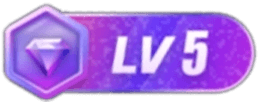 等级-LV5-阿西八八