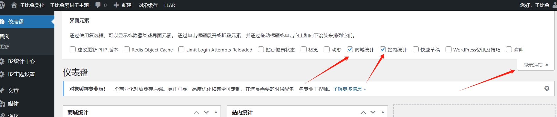 图片[2]-B2仪表盘统计图表插件（李初一仿自子比）【支持PHP8.1】仪表盘统计图表插件-阿西八八