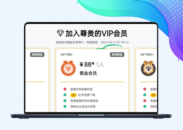 B2美化仿Haitheme主题的VIP页面-阿西八八